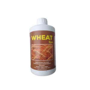 Wheat special liquid Fertilizer