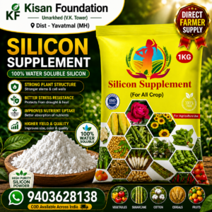 Silicon Supplement for All Crop